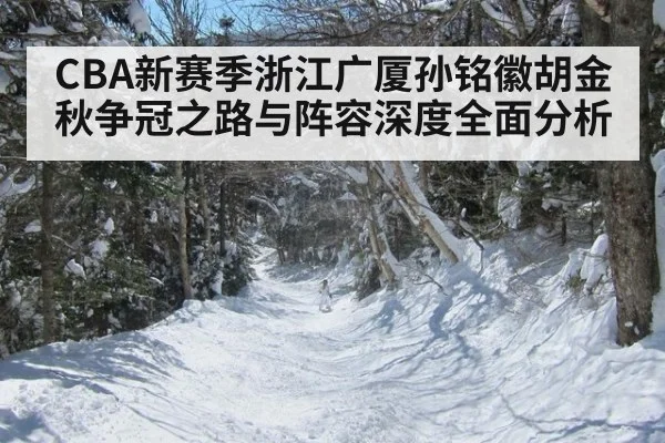 CBA新赛季浙江广厦孙铭徽胡金秋争冠之路与阵容深度全面分析